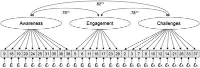 Need for training or already OnTracc? Development and psychometric properties of an online transcultural competence questionnaire among psychotherapists